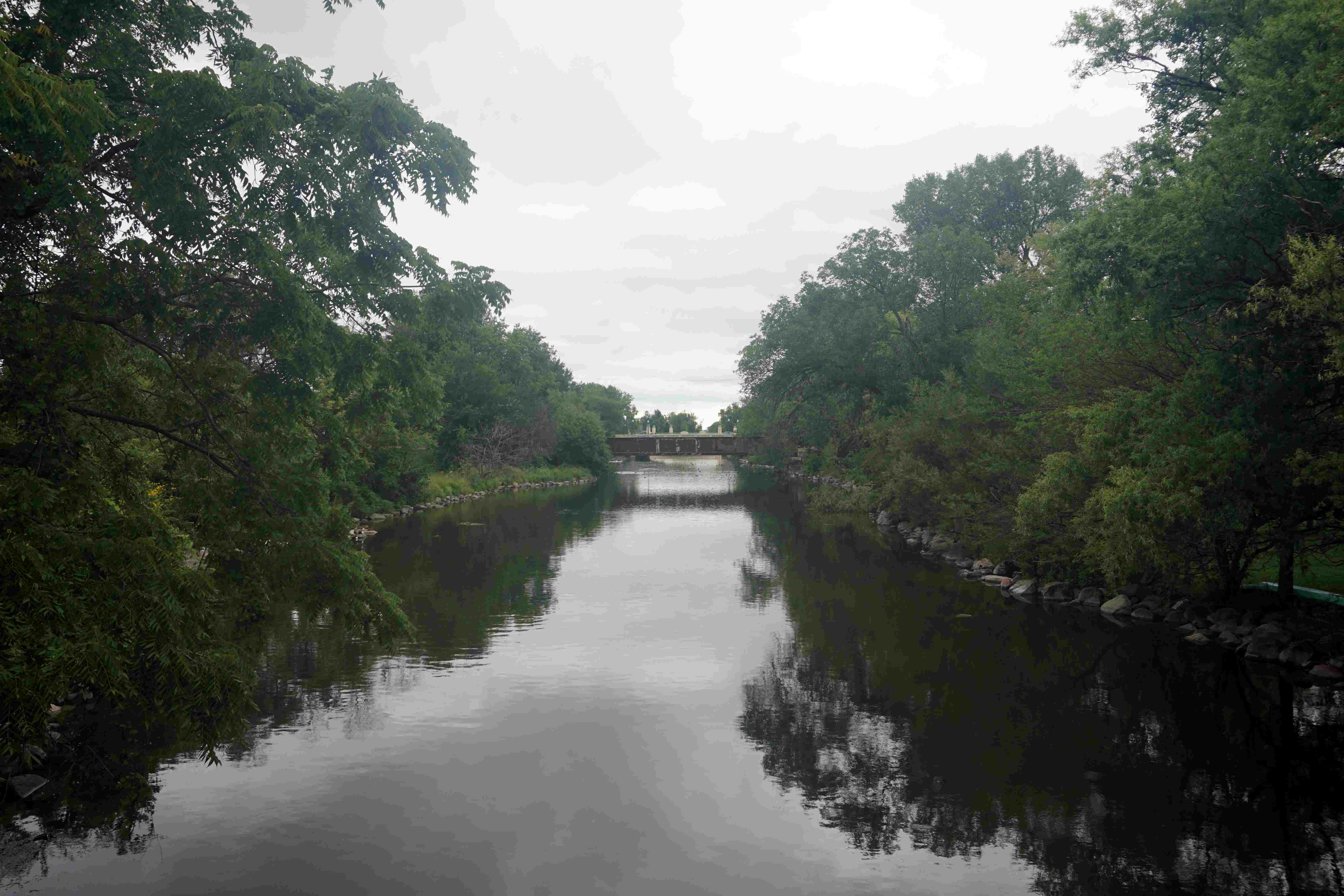 River cleanup volunteers